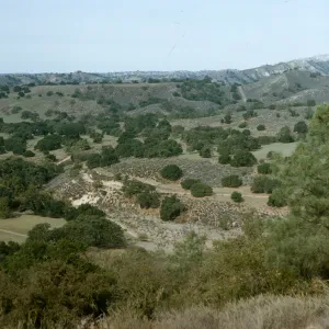 valley view from Figueroa Mountain Road, chaparral, oak woodland