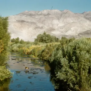 Inyo Mountains, from near Big Pine