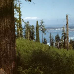 Crescent City, view from south to north