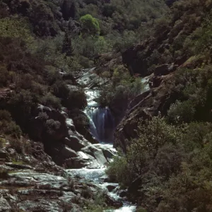 Tule River above powerhouse, elevation 3100 feet, waterfall