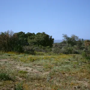sand flats, La Purisima, Lompoc