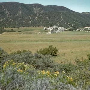 Montgomery Potrero, from east end