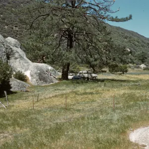 Montgomery Potrero, Pine Corral camp