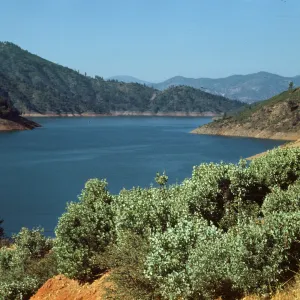 Lake Shasta, from Pit River Bridge down