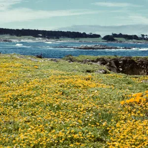 Seventeen Mile Drive