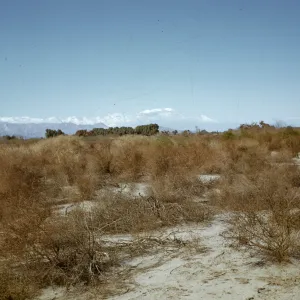 Mt. San Gorgonio, Mt. San Jacinto