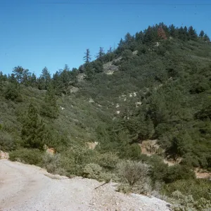 Figueroa Mountain 