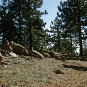 Big Pine Mtn.,from S.B.. Potrero