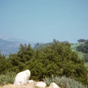 Santa Ynez Mountains, from Santa Barbara Botanic Garden