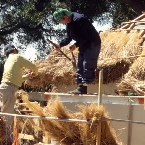 Tea House Construction 2001