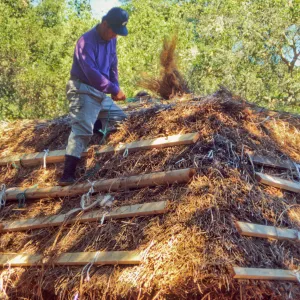 Tea House Construction 2001