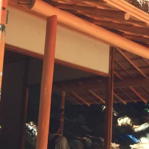 Tea House Construction 2001