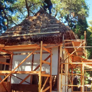 Tea House Construction 2001