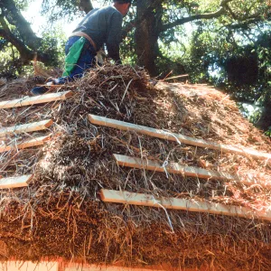 Tea House Construction 2001