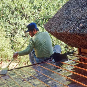 Tea House Construction 2001