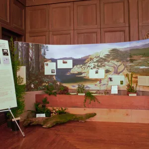 'Treasures of the Flora' exhibit, 1989