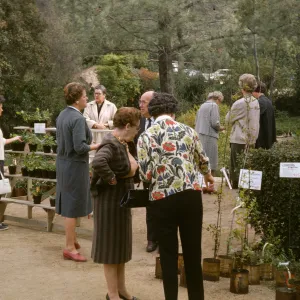 SBBG Plant Sale