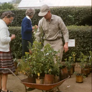 SBBG Fall Plant Sale, 1963
