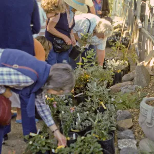 SBBG Spring Plant Sale, 1988
