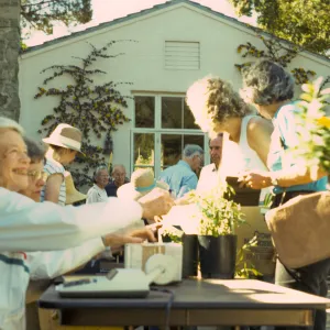 SBBG Spring Plant Sale, 1988