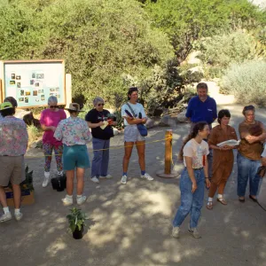 SBBG Fall Plant Sale, 1991
