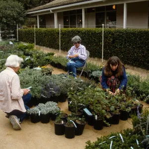 SBBG Fall Plant Sale, 1992