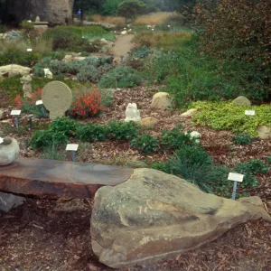 SBBG Fall Plant Sale, 1995