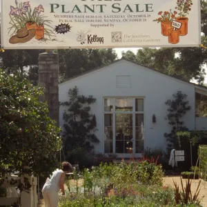 SBBG Fall Plant Sale, 1996