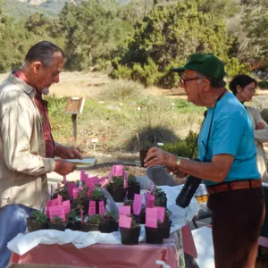 SBBG Fall Plant Sale, 1996