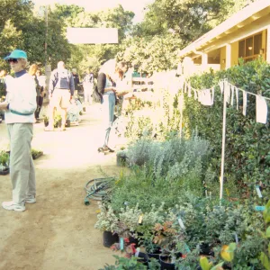 Fall Plant Sale, Preview Party, 2000