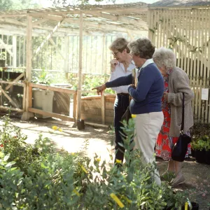 Fall Plant Sale, 1985