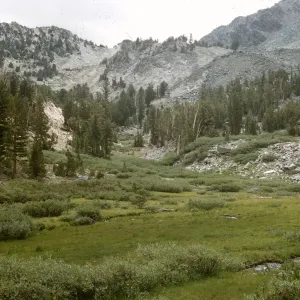 Sky Meadows,Mammoth Lakes