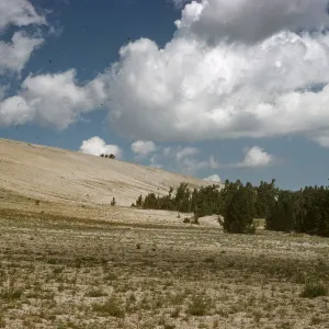 Mammoth Lakes, Minaret Crest
