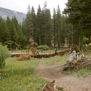 Mammoth Lakes, Agnew Meadows