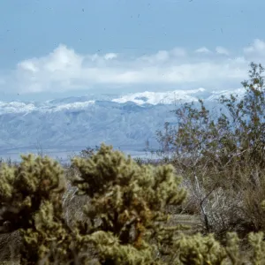 lower Palm Canyon, Little San Bernardinos