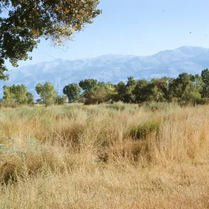 White Mountains from Bishop