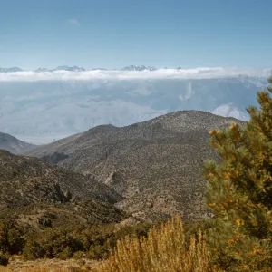 Sierras from the White Mountains, near Westgard Pass