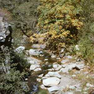 creek, Sespe Gorge