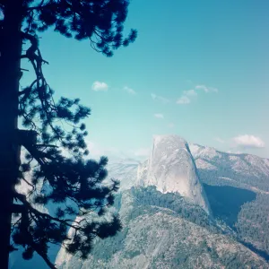 Yosemite National Park