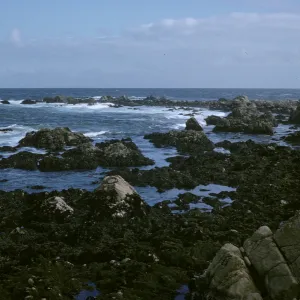 Monterey, site of wreck of SS Paul