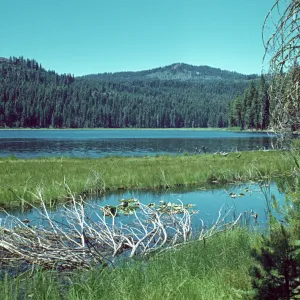 Willow Lake, Drakesbad, Lassen National Park