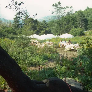 SBBG Members BBQ, 1999