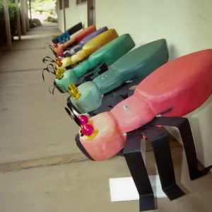 SBBG Members BBQ, 2000