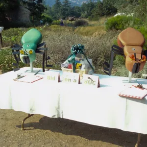 SBBG Members BBQ, 2000