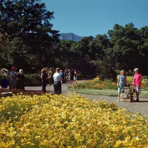 SBBG Members Day, 1945, sundial, Meadow, Coreopsis in bloom