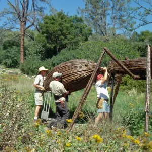 Big Bugs