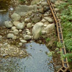 Mission Waterworks & Plant Fiber Arts Display Preview