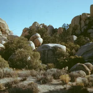 Hidden Valley, Joshua Tree National Monument