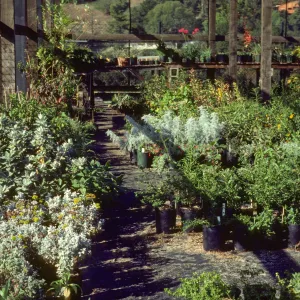 Horticulture Unit