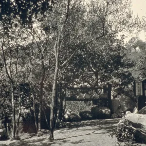 duplicate of SBBG_PR_02981, original 'Library' at Blaksley Botanic Garden